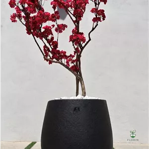 درختچه مصنوعی شکوفه + گلدان بافت دار مینیمال