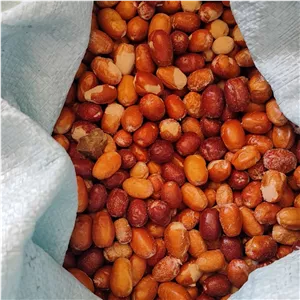 سنجد خشک امسالی 