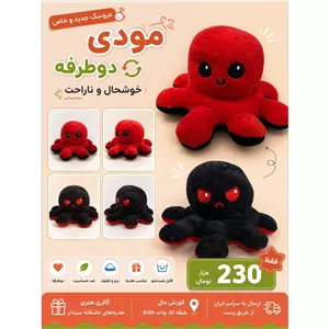 عروسک پولیشی مودی دو طرفه(خوشحال و عصبانی)
