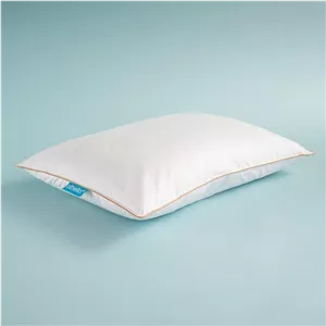 بالشت پر غاز Downa 90 15 از برند Othello