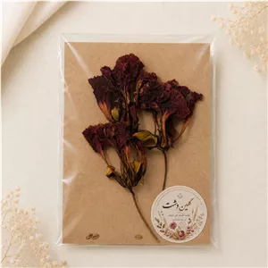 گل برجسته شعله جنگل خشک طبیعی – (3 شاخه)