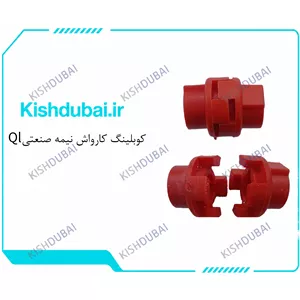 کوبلینگ کارواش نیمه صنعتی Ql