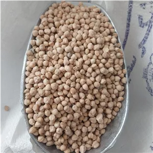 نخود محلی خوش پخت 