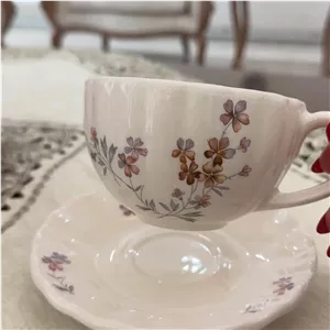 فنجان و نعلبکی6تایی (ارسال با چاپار هزینه درب منزل )