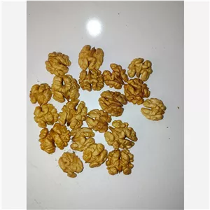 مغز گردو ایرانی متوسط 
