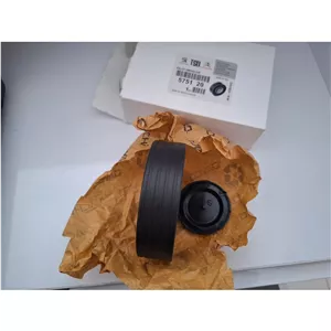 غلتک هرزگرد دینام پژو اورجینال TSQ