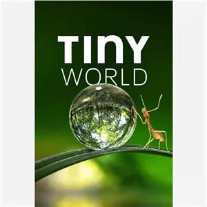 فیلم مستند دنیای کوچک - Tiny World