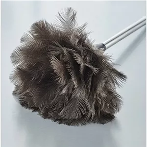 گردگیری پر طبیعی دسته استیل (پس کرایه)