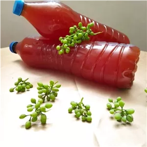 آبغوره خانگی