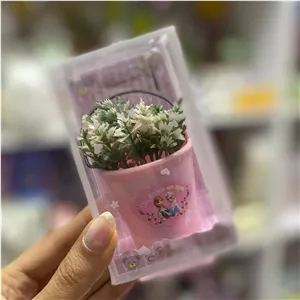 گلدون تزئینی جعبه دار