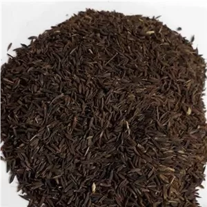زیره سیاه کوهی ، کاملا اصل و بسیار معطر(100 گرم ) از دل رشته کوه های منطقه جام
