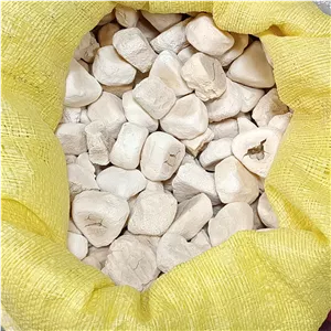 کشک نسایبده