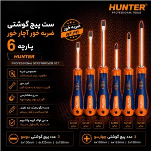 پیچ گوشتی ضربه خور هانتر مدل YP-06PCS بسته 6 عددی