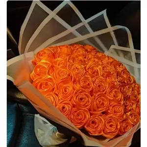 گل روبانی نارنجی 