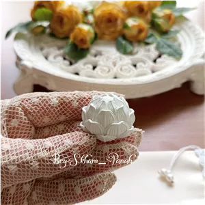 بیس خام گل لوتوس کوچک زیبا کاکتوس آماده ارسال 