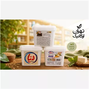 پنیر توفوی دنیا