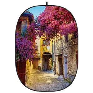فون بک گراند گودکس Godox CBA-CS0001 Collapsible Background