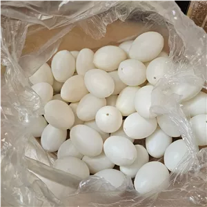 تخم مرغ پلاستیکی