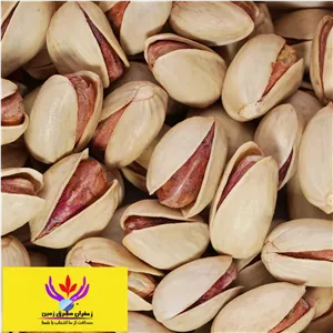 پسته اکبری خام یک کیلو مشرق زمین