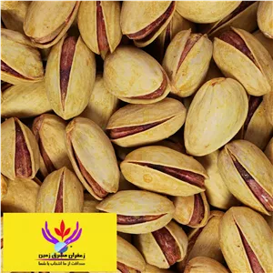 پسته اکبری شور یک کیلو مشرق زمین