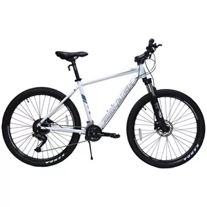دوچرخه رالی مدل Raleigh Mirage 70 2025 سایز L