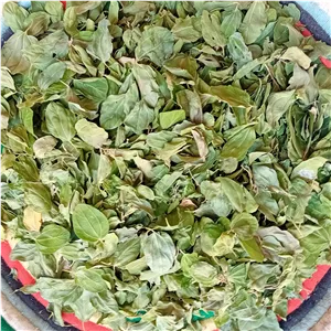 برگ سدرخشک (کنار)پودرنشده در بسته بندی 80گرمی مناسب شست وشوی سر وپوست