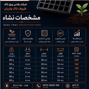 سینی نشا 