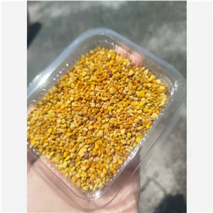 گرده گل بهاره محصول زنبور عسل
