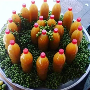 آبغوره خالص خانگی امسالی بدون نمک 4 لیتری الماس کویر