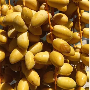 خرما خارَک ( خارَک )