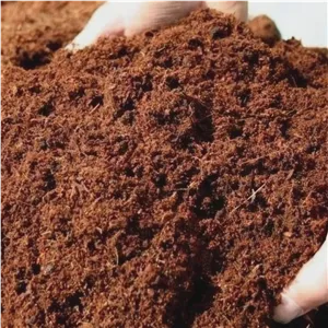 کوکوپیت قالبی هندی