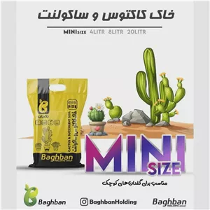 خاک مناسب انواع کاکتوس و ساکولنت