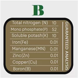 پک طلایی کودهای هیدروپونیک حاصلخیز 750 میل با فناوری XGREEN،تقویت ریشه تا شکوفایی (سه قلوی معجزه گر)