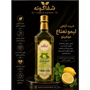 شربت گیاهی لیمو نعناع (موهیتو )
