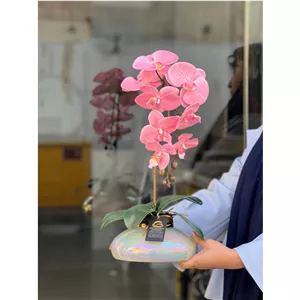 گلدان ارکیده شیشه ای با ارکیده وارداتی لمسی صورتی