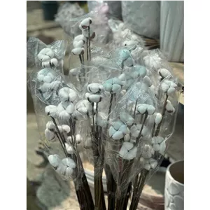 گل خشک پنبه سفید قد بلند درجه یک(10عدد پنبه) ارتفاع1متر