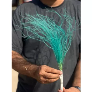 گل ریش بابا رنگ آبی