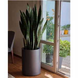 فلاور باکس استوانه ای ابعاد 60در35