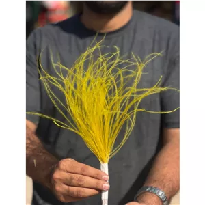 گل ریش بابا رنگ زرد