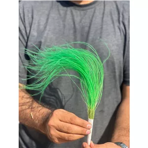 گل ریش بابا رنگ سبز