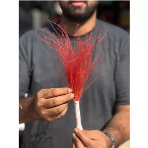 گل ریش بابا رنگ قرمز