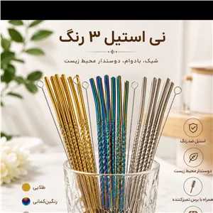 نی استیل