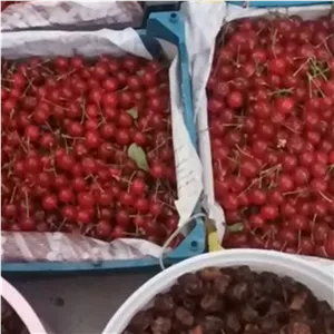 لواشک ارگانیک