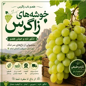 انگور تازه فصلی