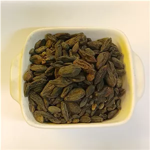 هلیله سیاه 50 گرمی طبیعی و پاکشده