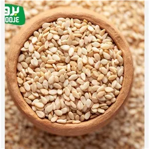 کنجد روغنگیری سورت شده پر روغن 10 کیلو عمده