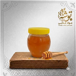 عسل فصل بهار(گون و شیرتیزه) نیم کیلویی