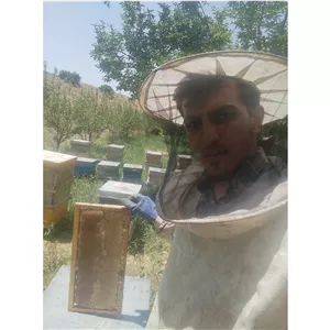 عسل طبیعی و درمانی زنبورستان طبیعت 