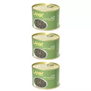 کنسرو قرمه سبزی بدون گوشت بهین - 450 گرم بسته 3 عددی