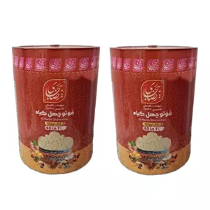 قاووت چهل گیاه ممتاز رضا بیجاری کرمان - 600 گرم بسته 2 عددی